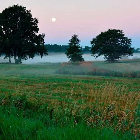 Scheunenloft Usedom-3, Familienoase, Hunde-freundlich Mit Riesigem Garten Mellenthin