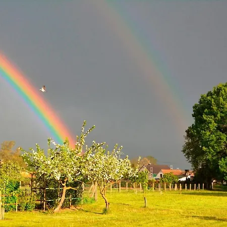 Scheunenloft Usedom-3, Familienoase, Hunde-freundlich Mit Riesigem Garten Mellenthin