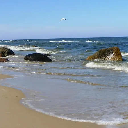 Scheunenloft Usedom-3, Familienoase, Hunde-freundlich Mit Riesigem Garten Lejlighed