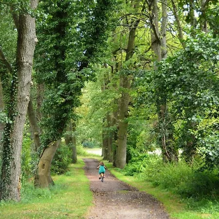 Lejlighed Scheunenloft Usedom-3, Familienoase, Hunde-freundlich Mit Riesigem Garten Mellenthin