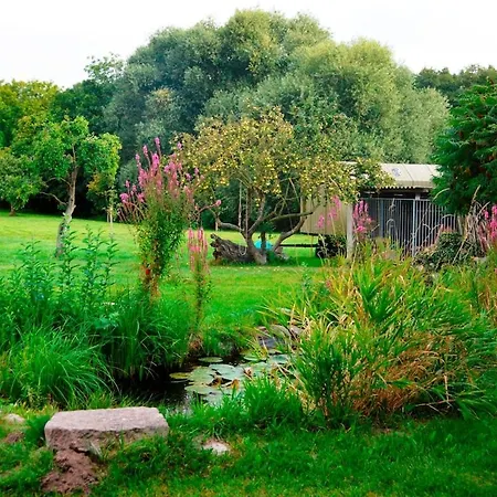 Scheunenloft Usedom-3, Familienoase, Hunde-freundlich Mit Riesigem Garten Lejlighed